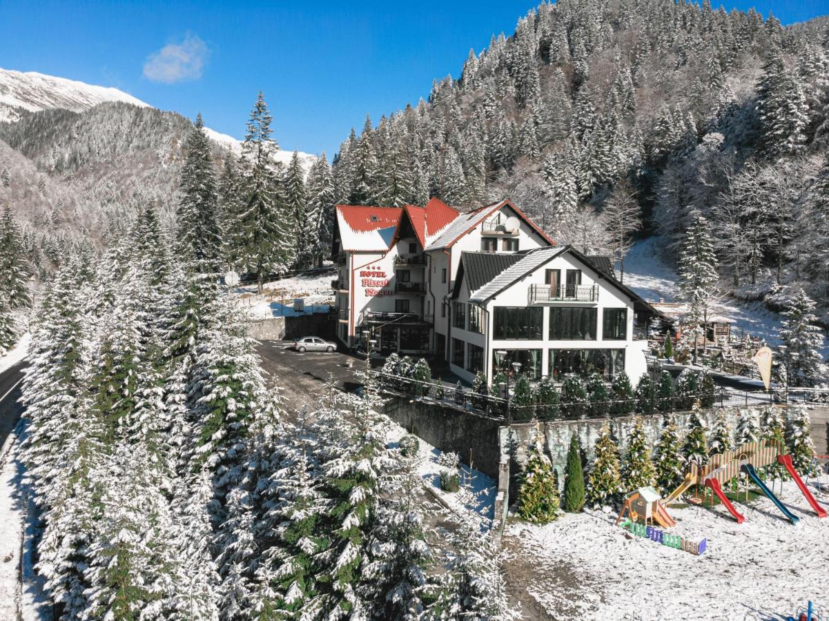 Piscul Negru Hotel - Transfagarasan Cumpăna Esterno foto