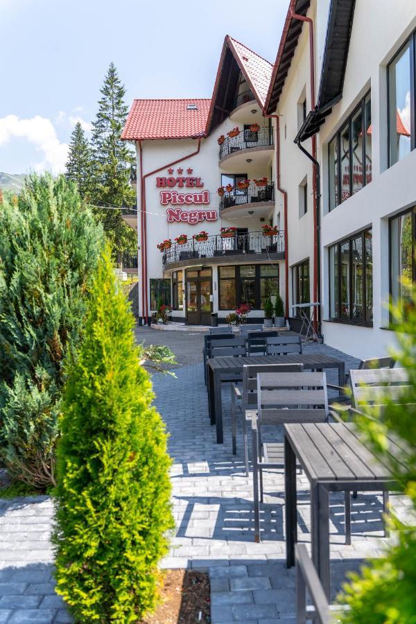 Piscul Negru Hotel - Transfagarasan Cumpăna Esterno foto