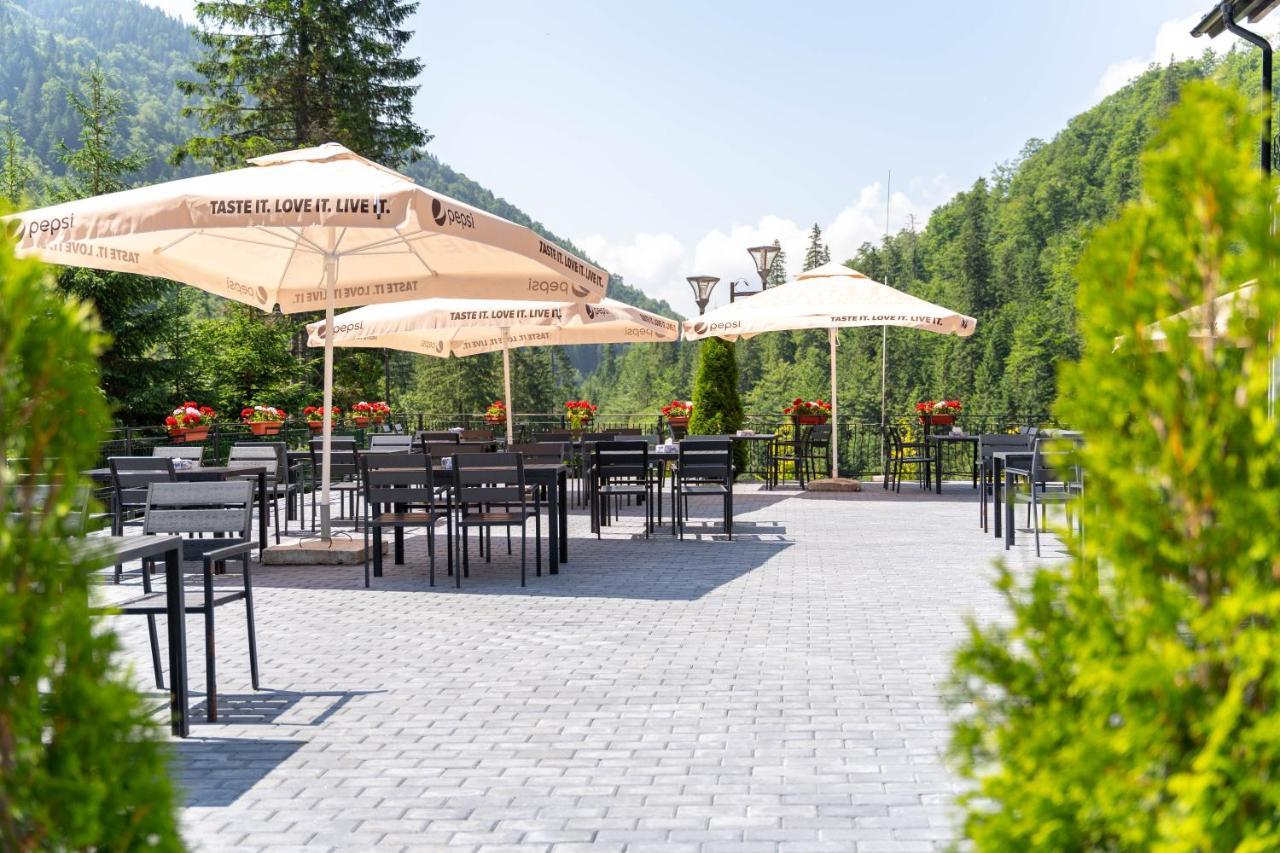 Piscul Negru Hotel - Transfagarasan Cumpăna Esterno foto